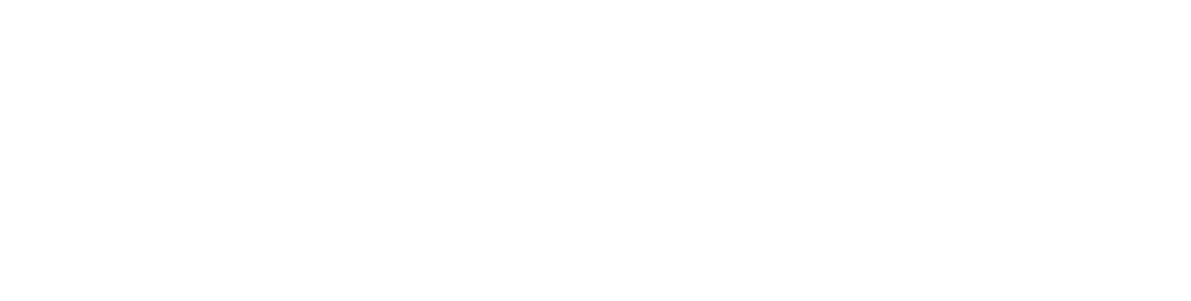 Cook Wealth Management Group of Wells Fargo Advisors